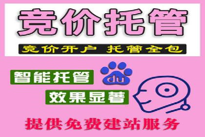 成功案例分享：SEM竞价托管助力企业实现业绩突破